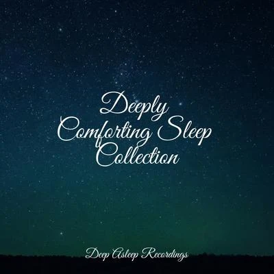 Guided Meditation Music Zone/Tonal Meditation Collective/Zen MeditateDeeply Comforting Sleep Collection