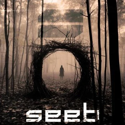 Seeb/ListenbeeBefore You Go