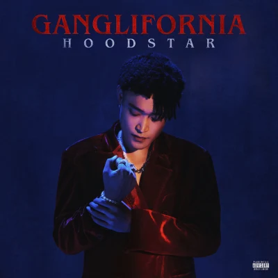 Double CGANGLIFORNIA HOODSTAR