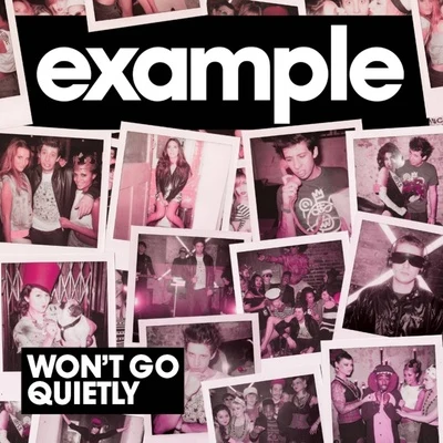 Example/Wretch 32Wont Go Quietly (Remix)