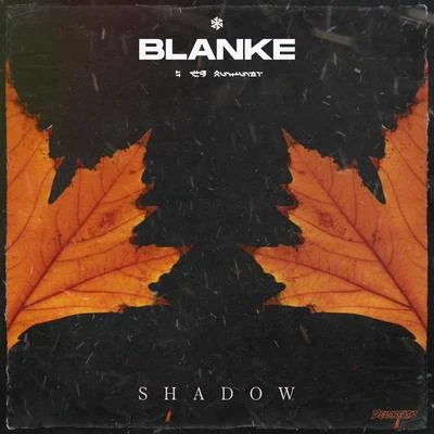 BlankeShadow