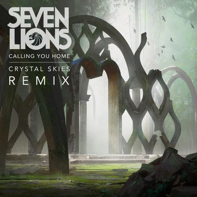 Seven LionsJason RossPaul MeanyCalling You Home (Crystal Skies Remix)