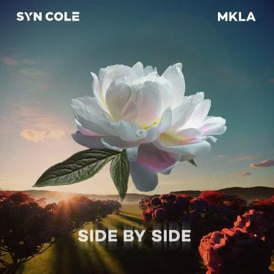 Syn ColeSide By Side