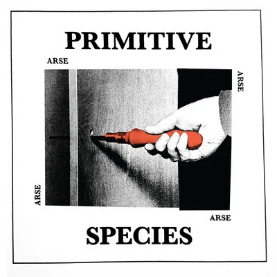 ArsePrimitive Species