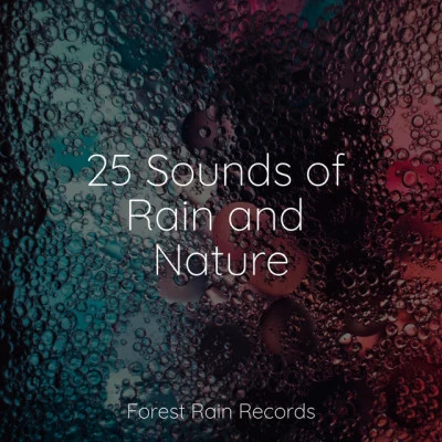 The Relaxing Sounds of Swedish Nature25 Sounds of Rain and Nature