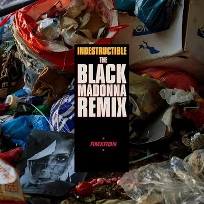 The Black MadonnaIndestructible (The Black Madonna Remix)