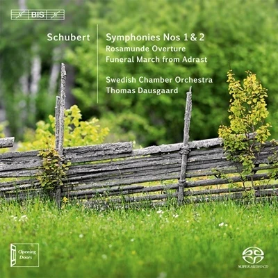 Petter Sundkvist/Anna Larsson/Karin Ingeback/Anders Larsson/John Erik Eleby/Frej Lindkvist/Amadei Chamber Choir/Swedish Chamber OrchestraSymphonies Nos. 1 & 2