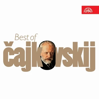 Václav SmetáčekBest of Tchaikovsky