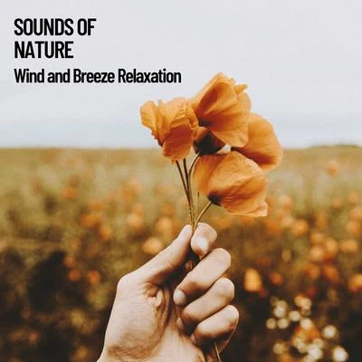 Rest & Relax Nature Sounds ArtistsSounds of Nature: Wind and Breeze Relaxation