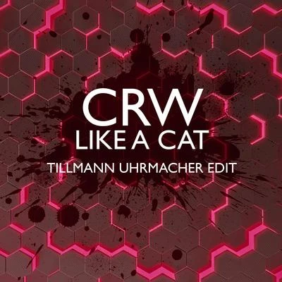 More/Red Star/CRW/Sandro Vibot/Mauro Picotto/Lesson Number 1/Gee Moore Pres. Es Vedra/Sylvan F. Vs. Dj BriceLike A Cat (Tillmann Uhrmacher Edit)