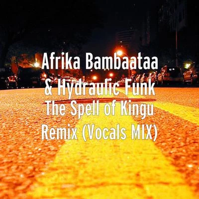 Afrika BambaataaThe Spell of Kingu (Remix) [Vocals Mix]