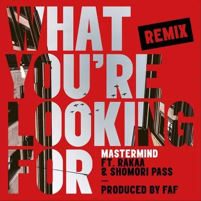 MastermindWhat Youre Looking For (Remix) [feat. Rakaa & Shomori Pass]