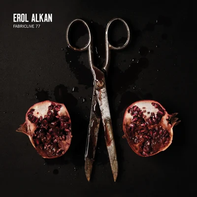 GHOST CULTUREFABRICLIVE 77: Erol Alkan