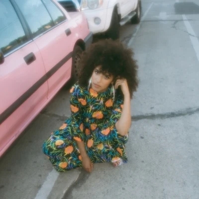 Gavin TurekBirdie Bees