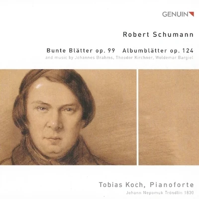 Tobias Koch/Stephan Katte/Markus SchäferSchumann, Brahms, Kirchner, Bargiel - Pianoforte Music