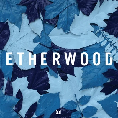 Etherwood/Fred V/Zara Kershaw/DRS/Lily Budiasa/Sigrún StellaBlue Leaves