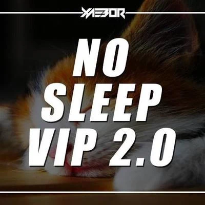 XaeboRNo Sleep VIP 2.0