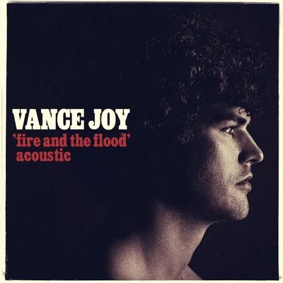 Vance JoyFire and the Flood (Acoustic)