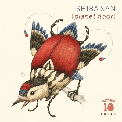 Shiba SanPlanet Floor