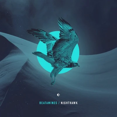 Beatamines/RobertsonNighthawk