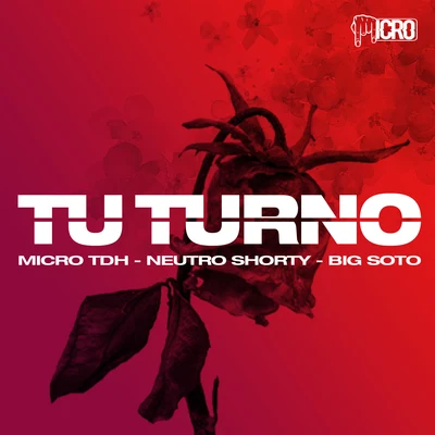 Micro TdhTu Turno