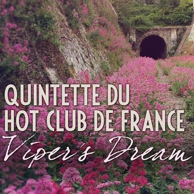 Quintette du Hot Club de France/Bill Coleman And His Orchestra/Coleman Hawkins and his All-Star Jam Band/Rex Stewart and His Feetwarmers/Eddie SouthVipers Dream