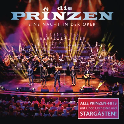 Die PrinzenEine Nacht in der Oper