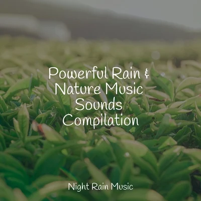 The Rainforest CollectiveSounds Of Nature: ThunderstormSoothing Baby MusicPowerful Rain & Nature Music Sounds Compilation