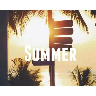 N2VSummer