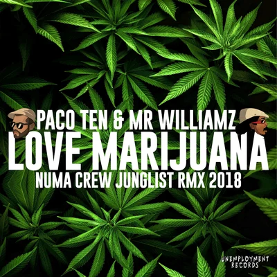 Paco TenI Love Marijuana (Numa Crew Remix)