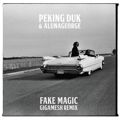 Peking Duk/Nicole MillarFake Magic (Gigamesh Remix)