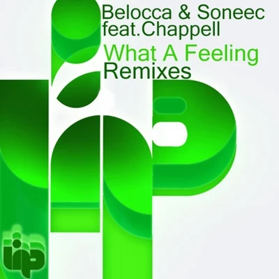 Belocca/MuzzaikWhat A Feeling