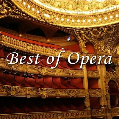 Antonino VottoBest of Opera