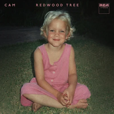 Cam/Jay VeeRedwood Tree