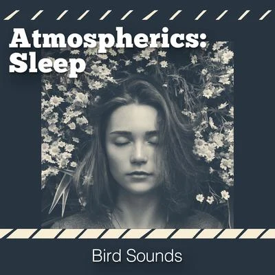 Bird SoundsAtmospherics: Sleep