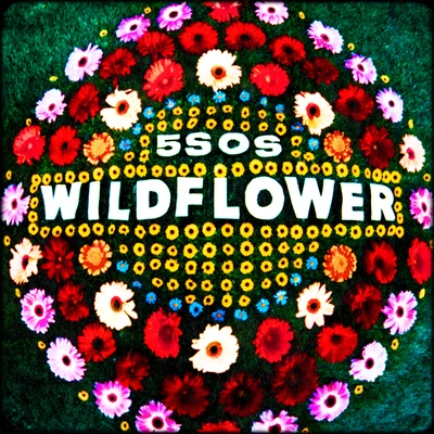 5 Seconds of SummerWildflower