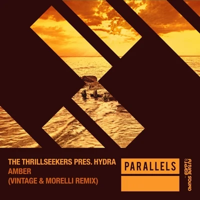 The ThrillseekersAmber (Vintage & Morelli Remixes)