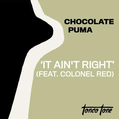 Sweet Coffee/Chocolate Puma/Jean Claude Ades/Booka Shade/Switch/Yello/Kurd Maverick/Whirlpool Productions/Roger Sanchez/Quintino & BlasterjaxxIt Aint Right (feat. Colonel Red)