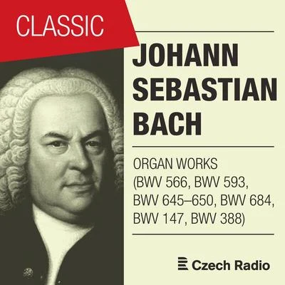 Aleš BártaMiroslav KejmarJacques OffenbachJ. S. Bach: Organ Works