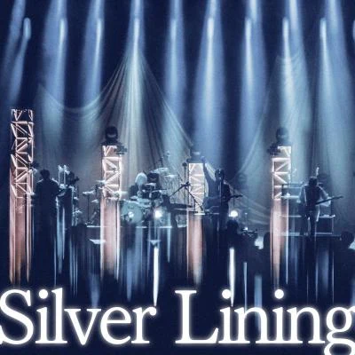 ストレイテナーSilver Lining