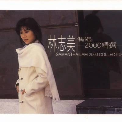 林志美 (Samantha Lam)偶遇2000精選