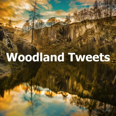 Rest & Relax Nature Sounds ArtistsWoodland Tweets