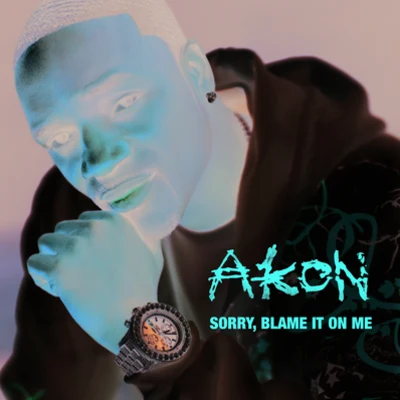 AkonKardinal OffishallSorry, Blame It On Me (Intl ECD)