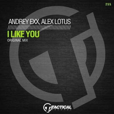 Andrey Exx/Anton IshutinI Like You