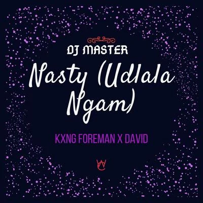 DJ MasterNasty (Udlala Ngam)