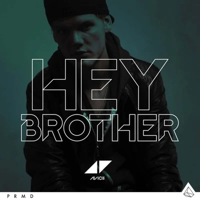 AviciiNicky RomeroHey Brother (Remixes)