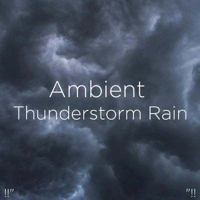 Thunderstorm Sound BankThunderstorm!!" Ambient Thunderstorm Rain "!!