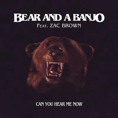 Zac BrownCamden LevineAviciiCan You Hear Me Now (Remix)