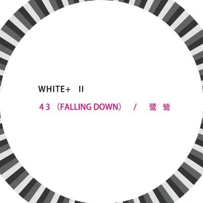 White+43 (Falling Down)鷺鷥