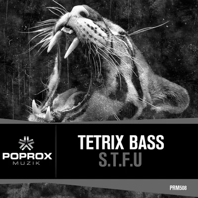 Tetrix BassS.T.F.U